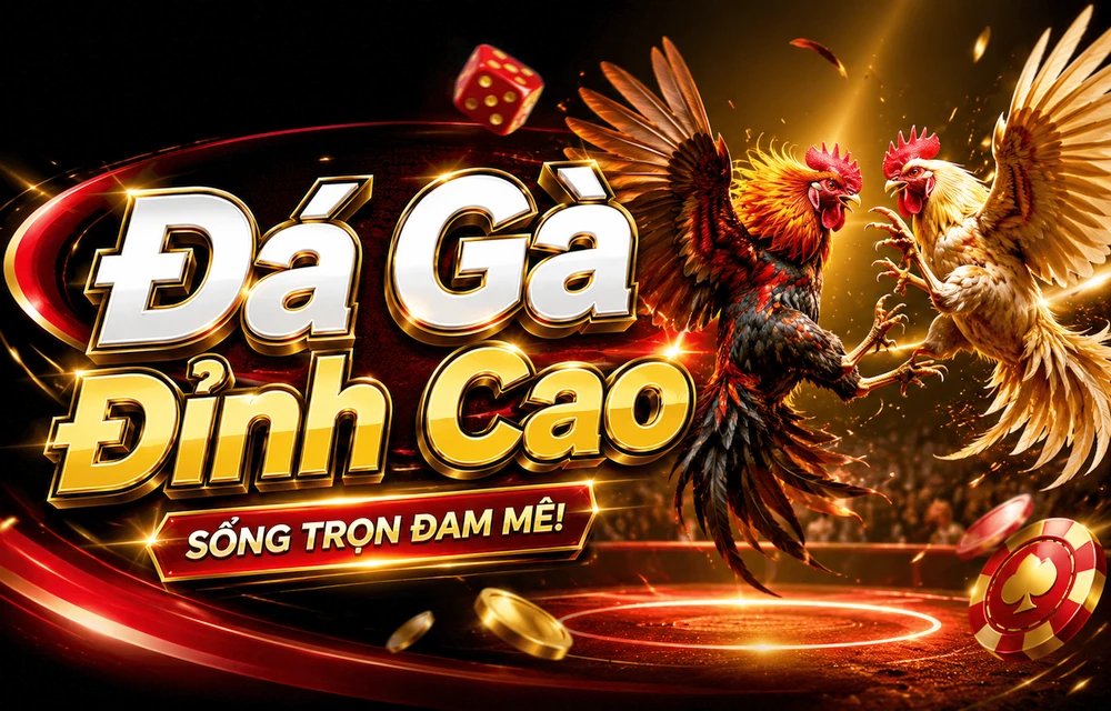 Hỏi đáp thực tế về Tài khoản dành cho người mới